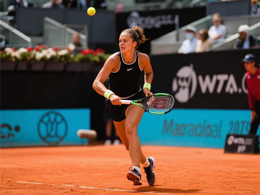 世界杯平台介绍